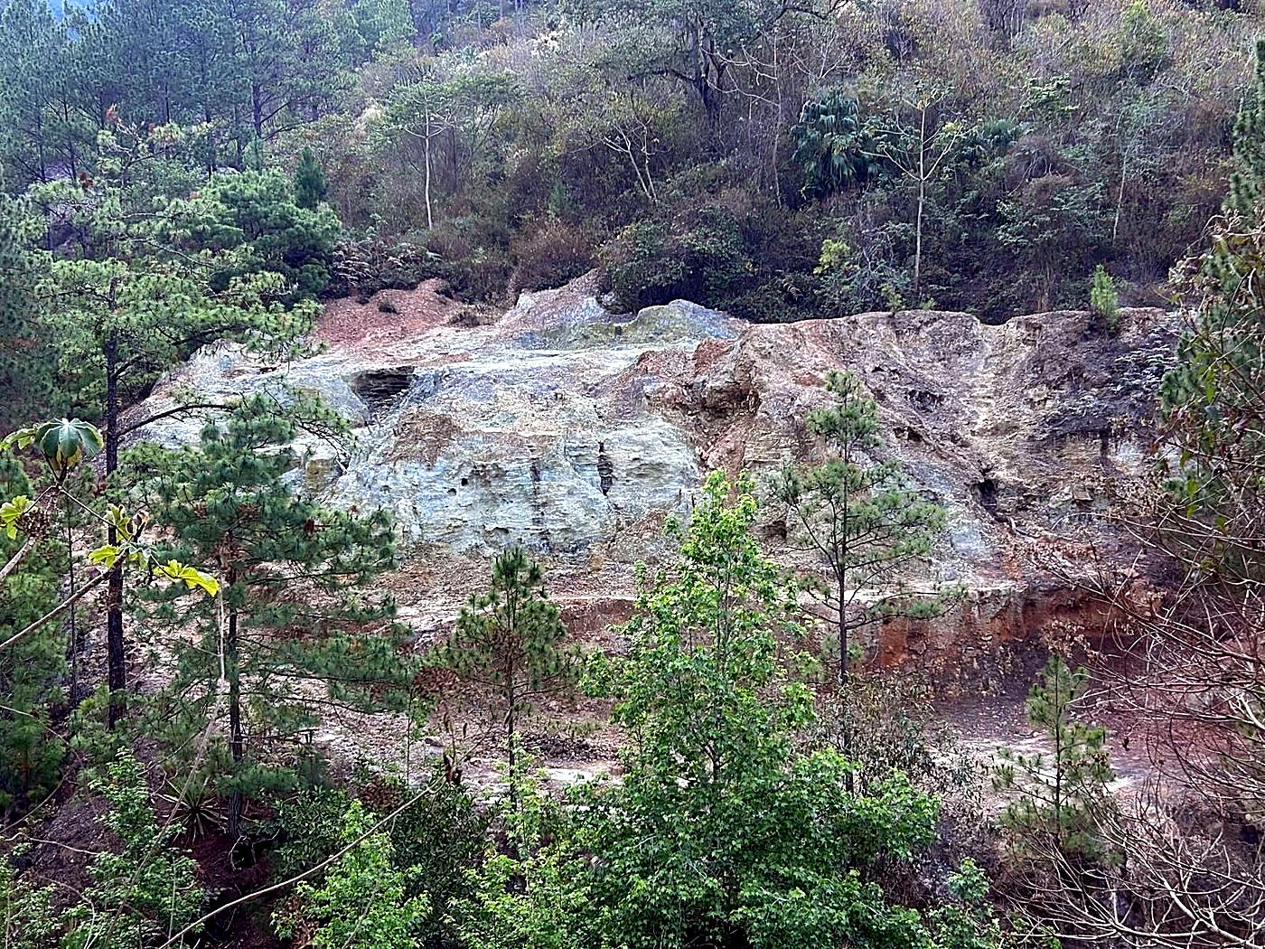 An open terraced mine working face on a forested hillside under a blue sky, surrounded by intact trees