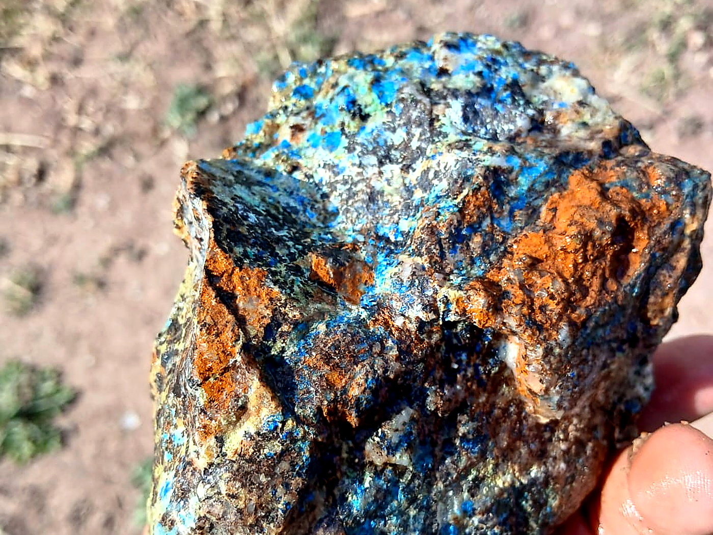 A hand holding a rough copper ore specimen with bright blue azurite and green malachite across orange iron-stained rock