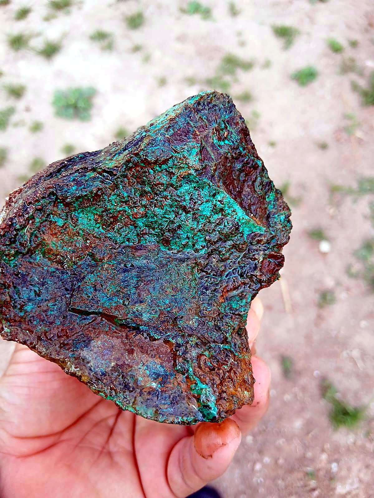 Hand holding a fist-sized rock coated in bright green malachite with brown iron oxide edges
