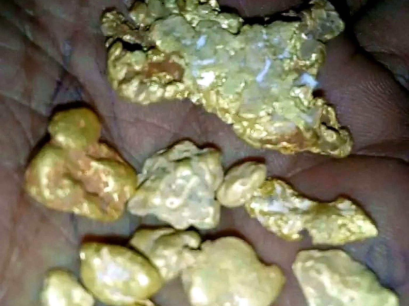 A miner's palm holding a cluster of rough, bright yellow placer gold nuggets recovered from a Honduran river concession