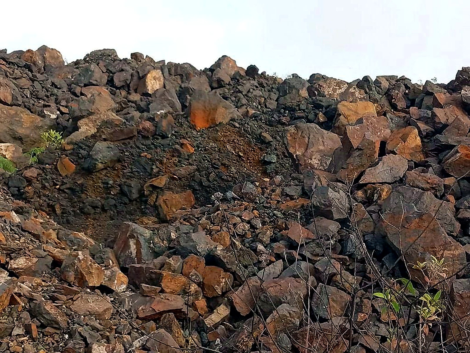 A long bench of sorted rust-brown and grey rock with green vegetation growing along its edge
