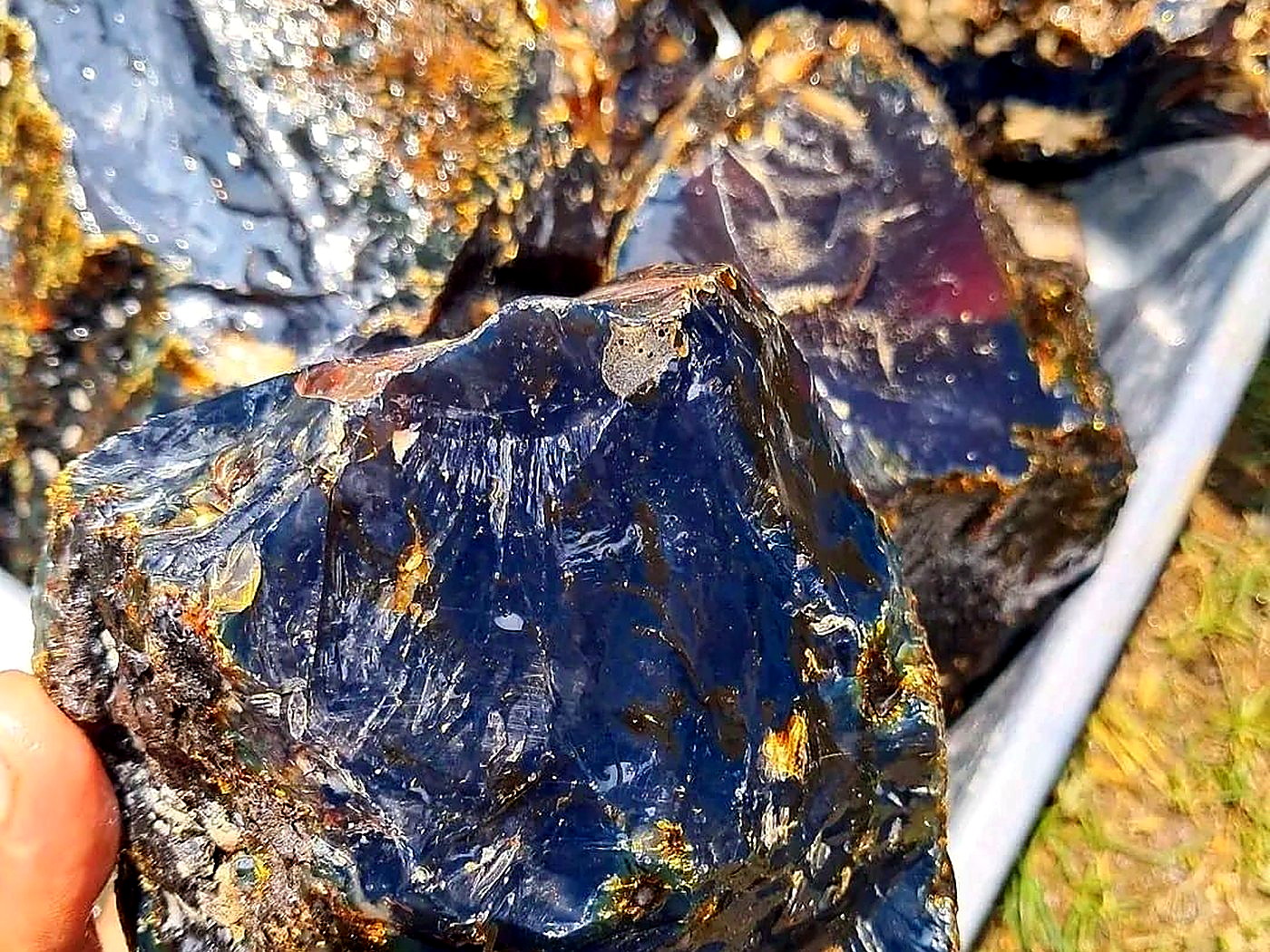 A hand holding a large glassy piece of Honduran blue amber rough with a deep blue sheen and rough brown rind