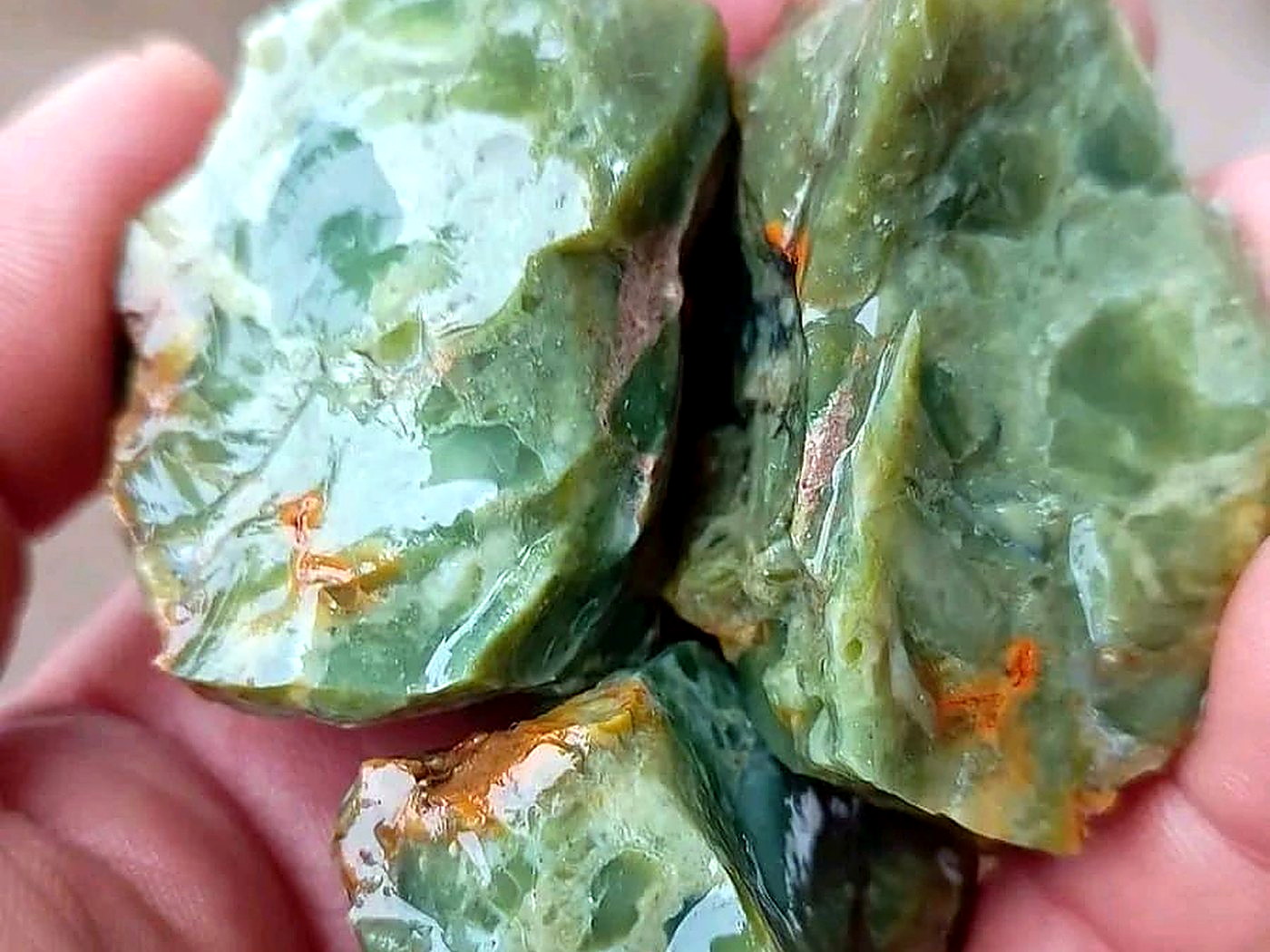 A hand holding several pieces of mottled green jadeite rough stone from a precious stone concession