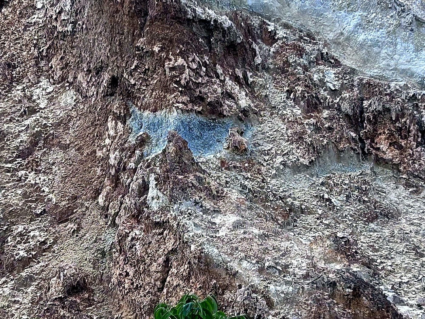 A steep rock wall showing a pale mineralised vein running horizontally through darker host rock