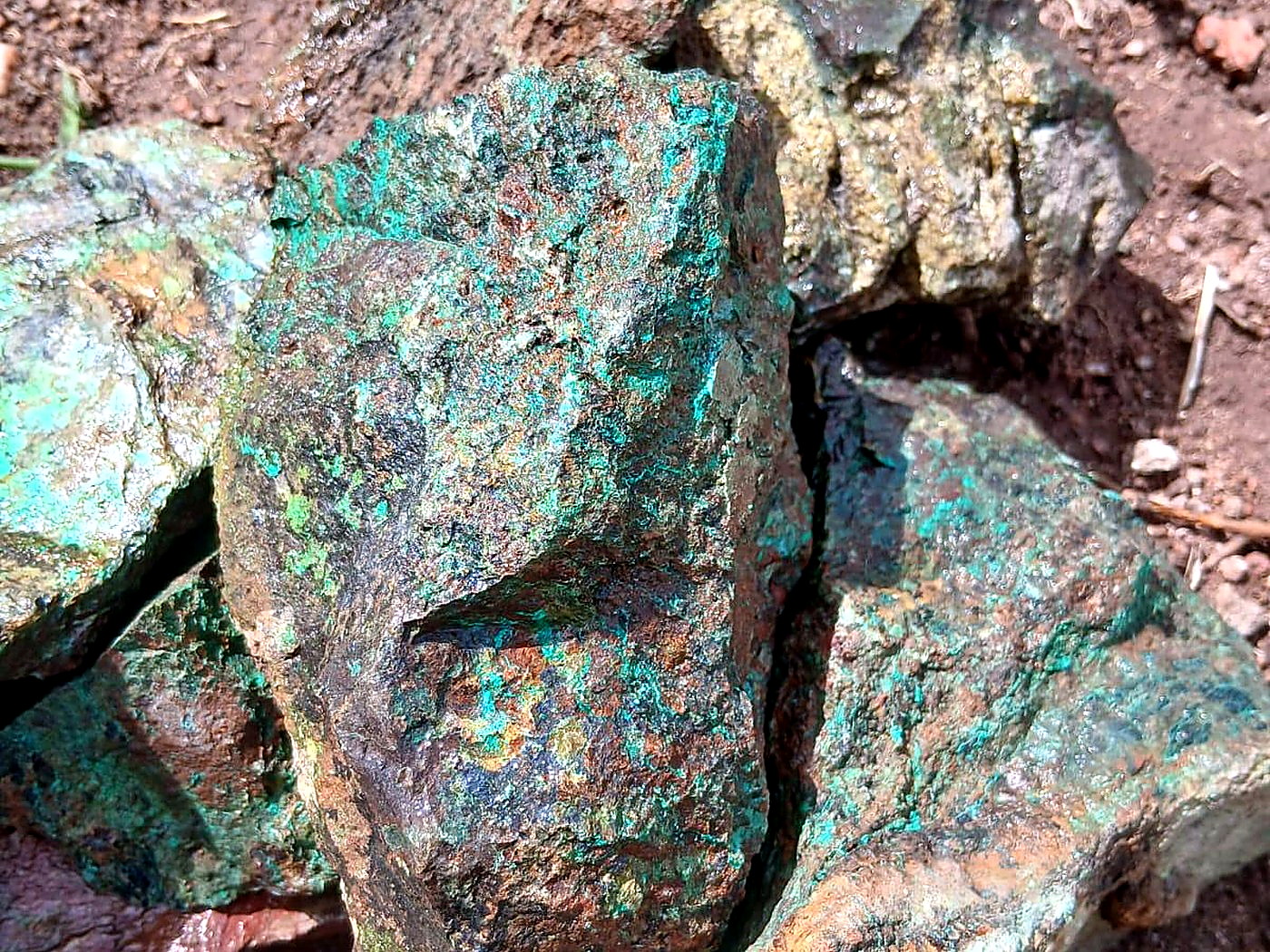 Several chunks of copper ore covered in bright green malachite lying on red-brown soil at a mine site