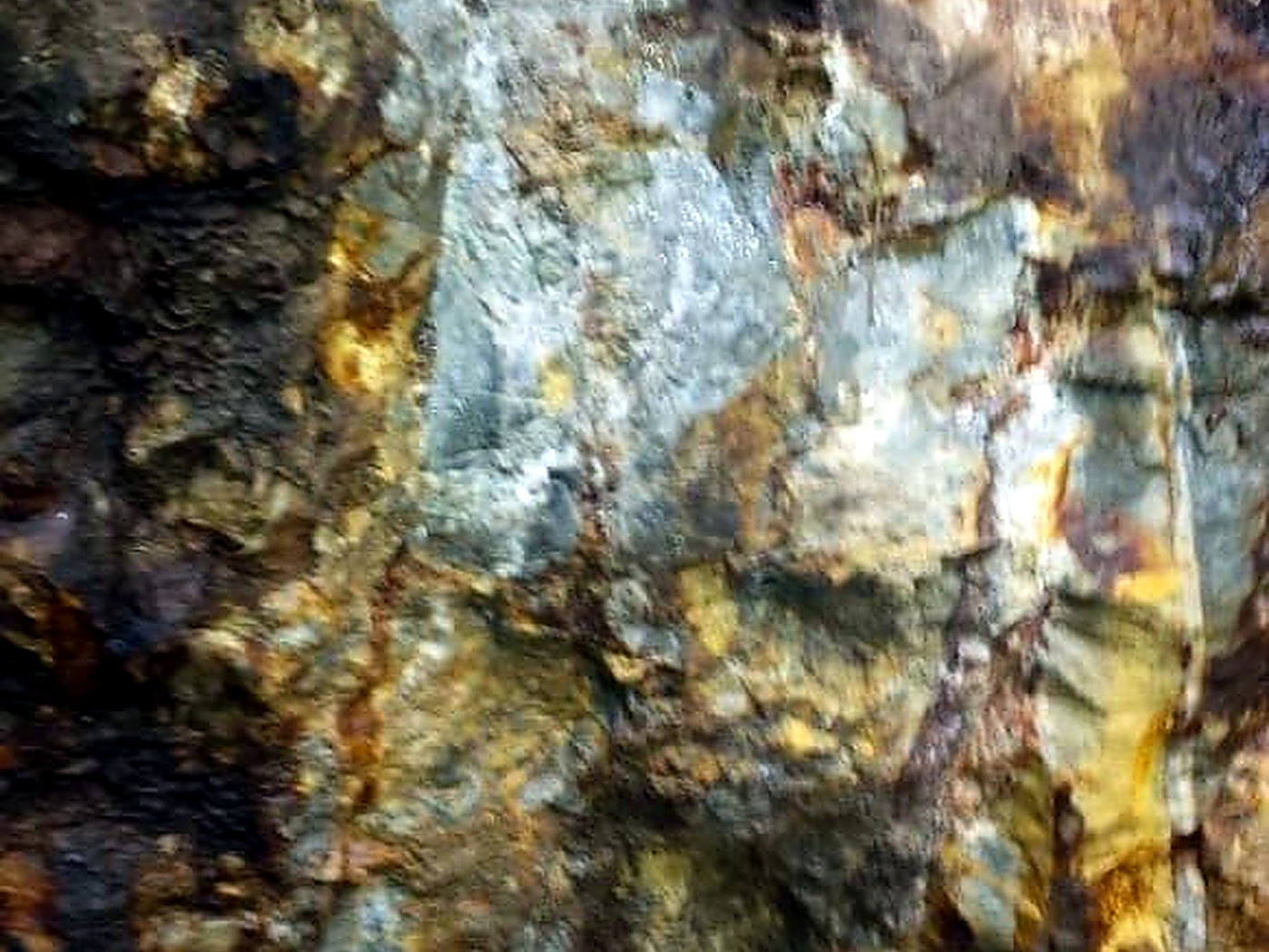 Golden-brown gold-bearing quartz vein exposed in a rocky hillside outcrop