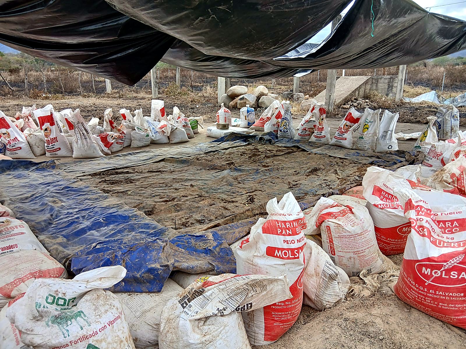 A covered lined collection pad ringed with filled white ore sacks at a Central American mine site